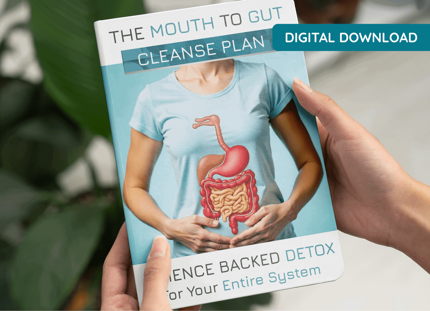 Bonus 3 — The Mouth-to-Gut Cleanse Plan digital download book cover